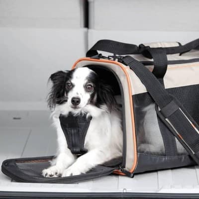 Kurgo Pet Carrier 17x11x11 BlackKhaki - Thumbnail 2