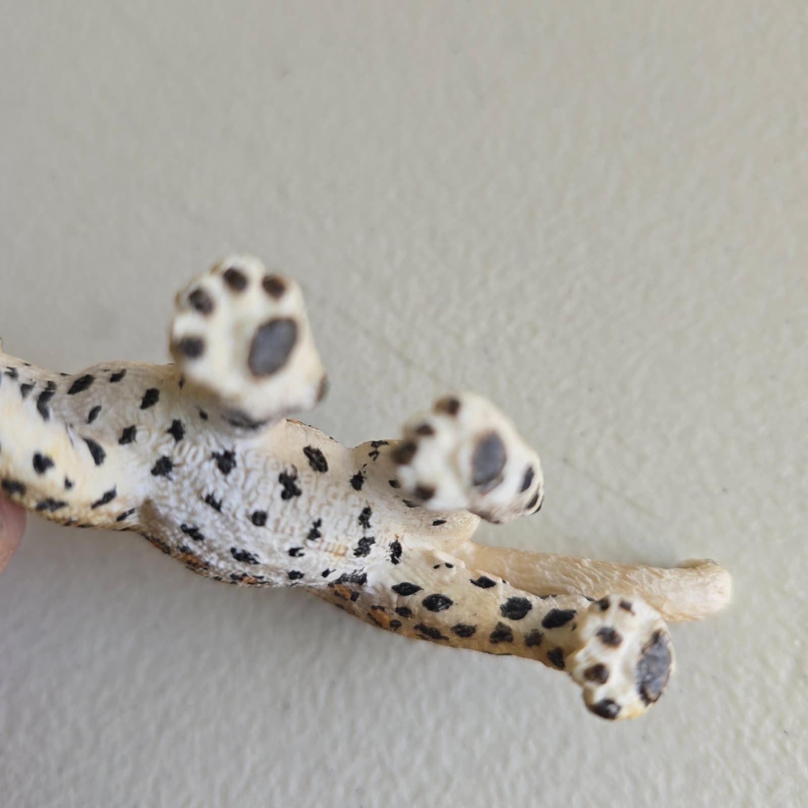 Safari Ltd. Lion, Lion Cub, Bengal Tiber Cubs, Cheetah Cub Bundle 2006 2007 2008 - Thumbnail 10