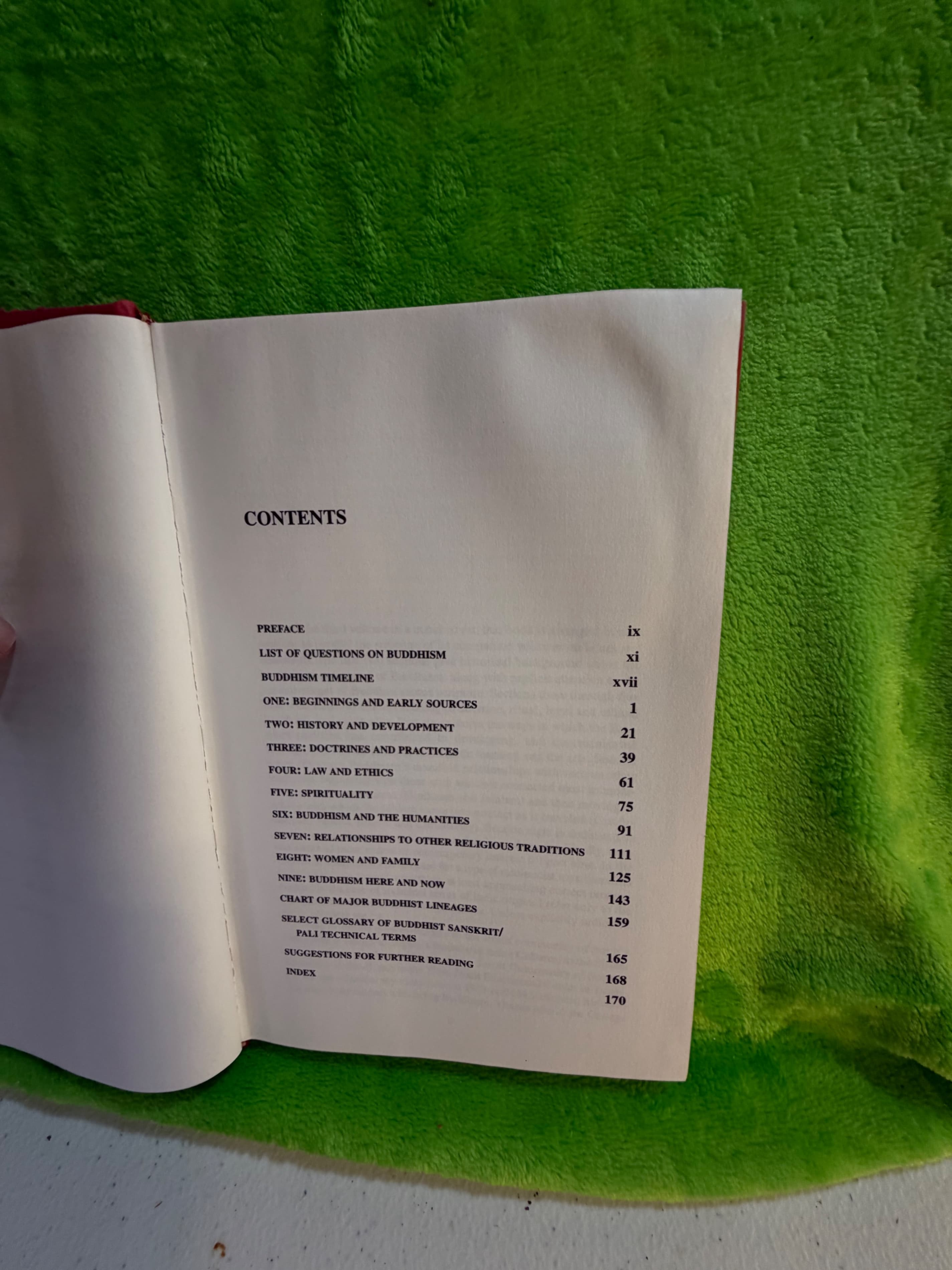 101 Questions and Answers on Buddhism by John Renard - Thumbnail 4