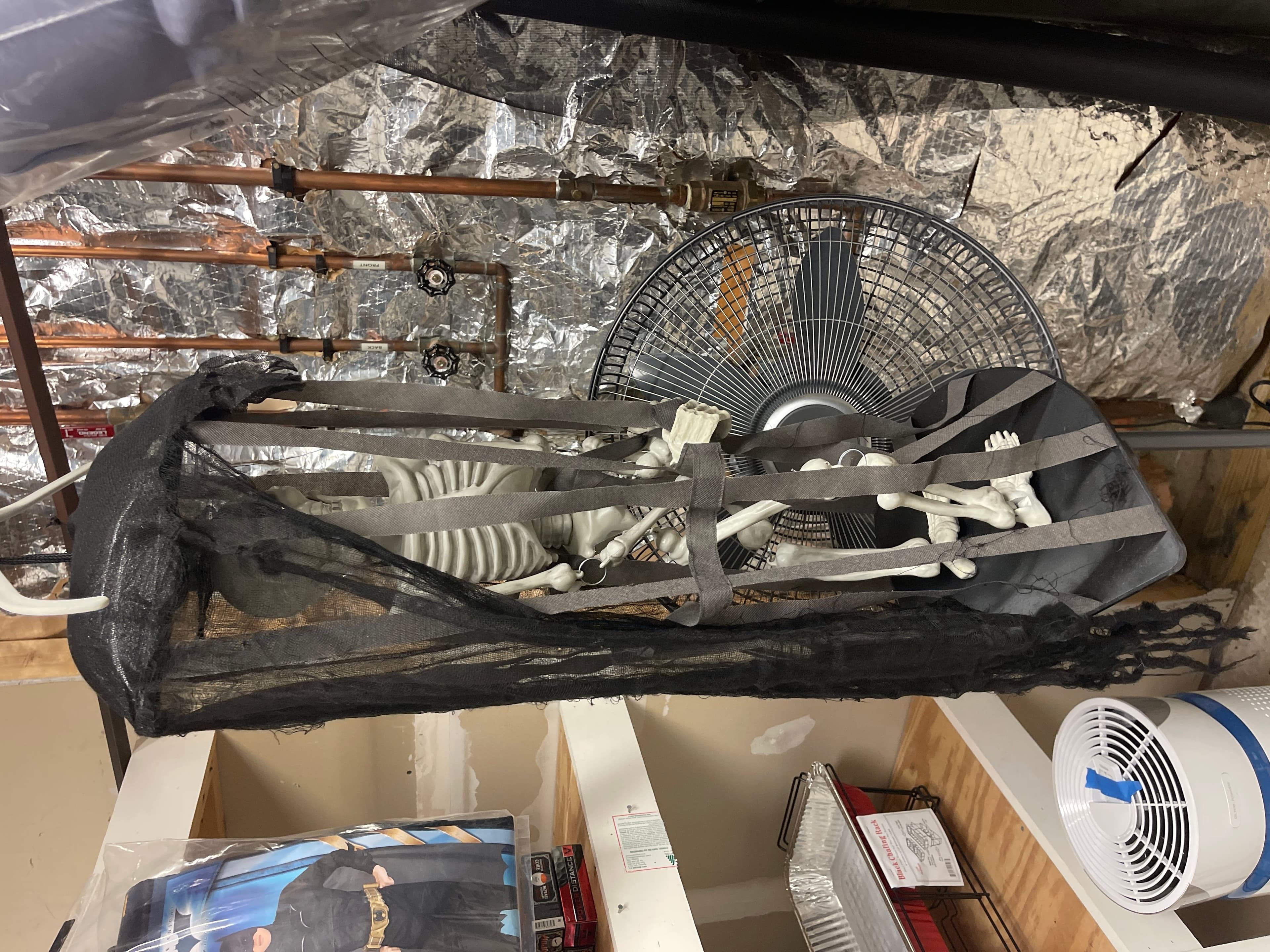 Skeleton Decor - Image 1