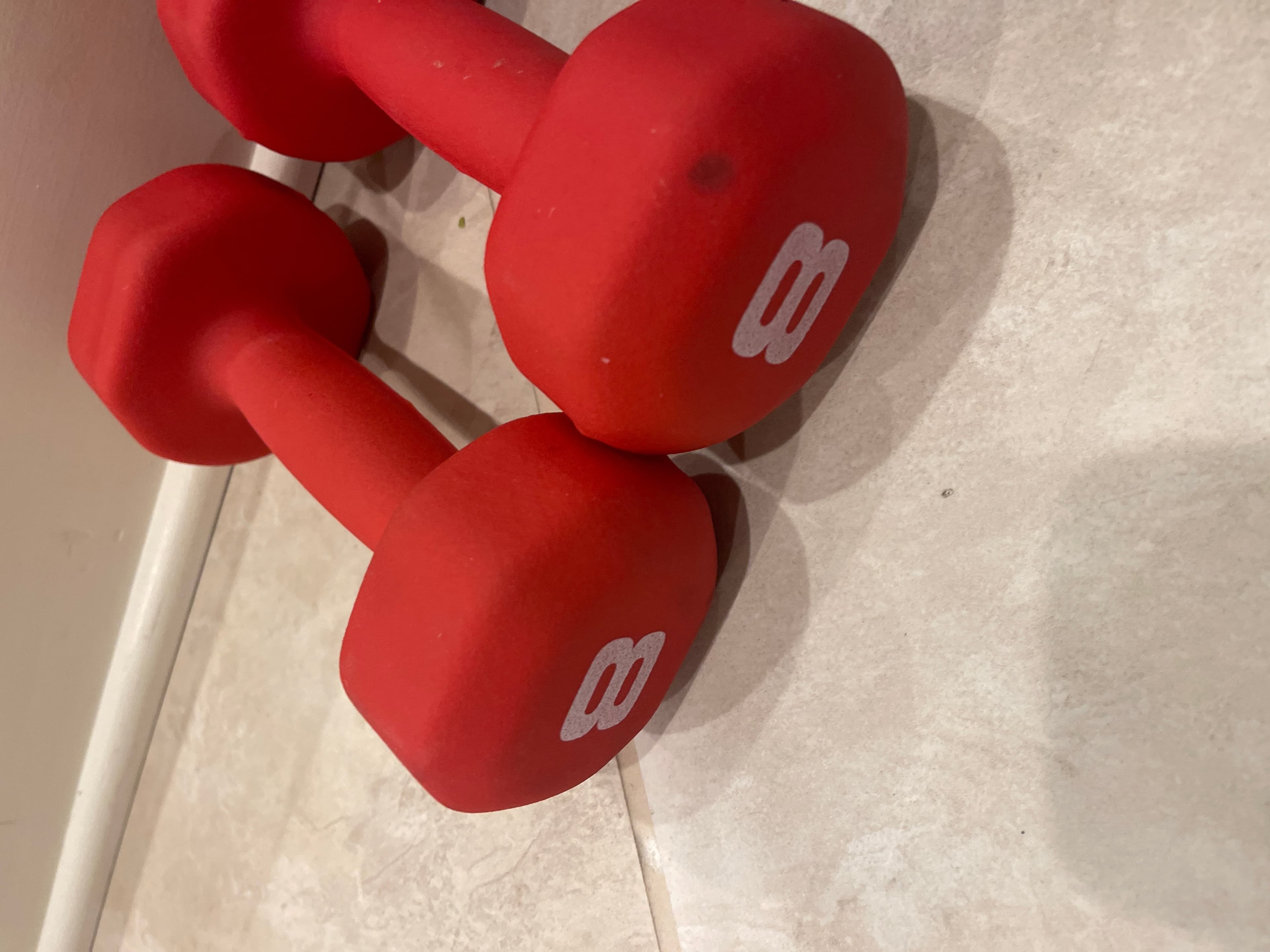 8 lb Dumbbells - Image 1