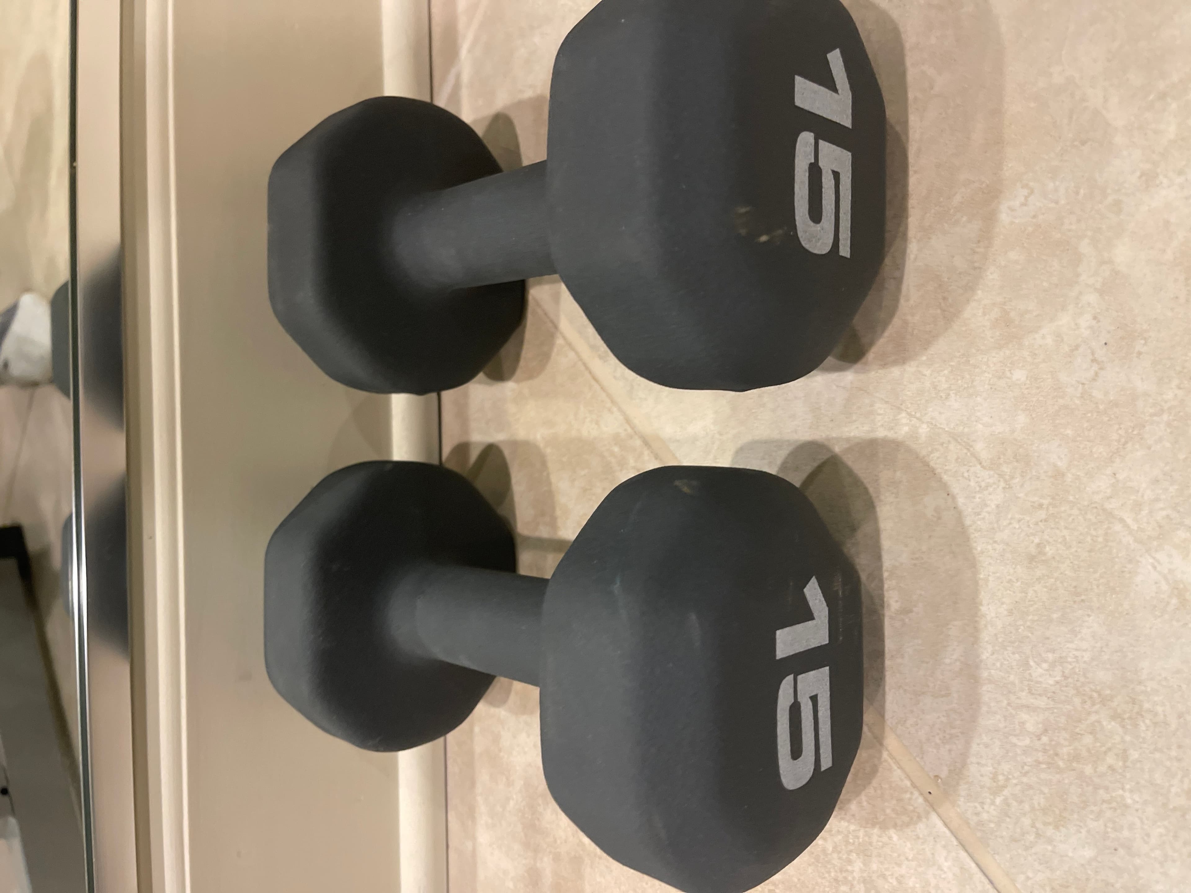 15 lb Dumbbells - Image 1
