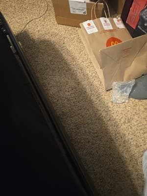 Donkey Konga NINTENDO GAMECUBE- Japan NTSC-J - Thumbnail 4