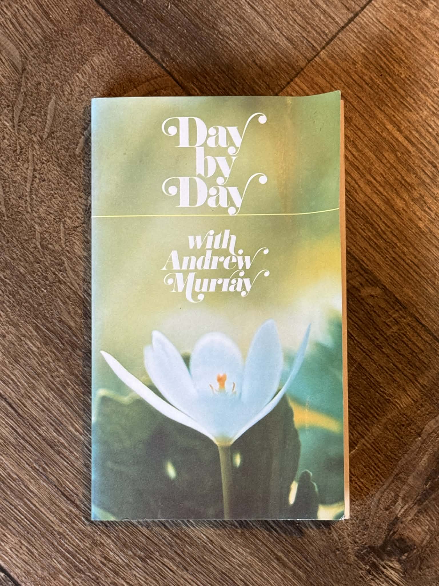 Day by Day with Andrew Murray - Vintage Christian Devotional - Image 1