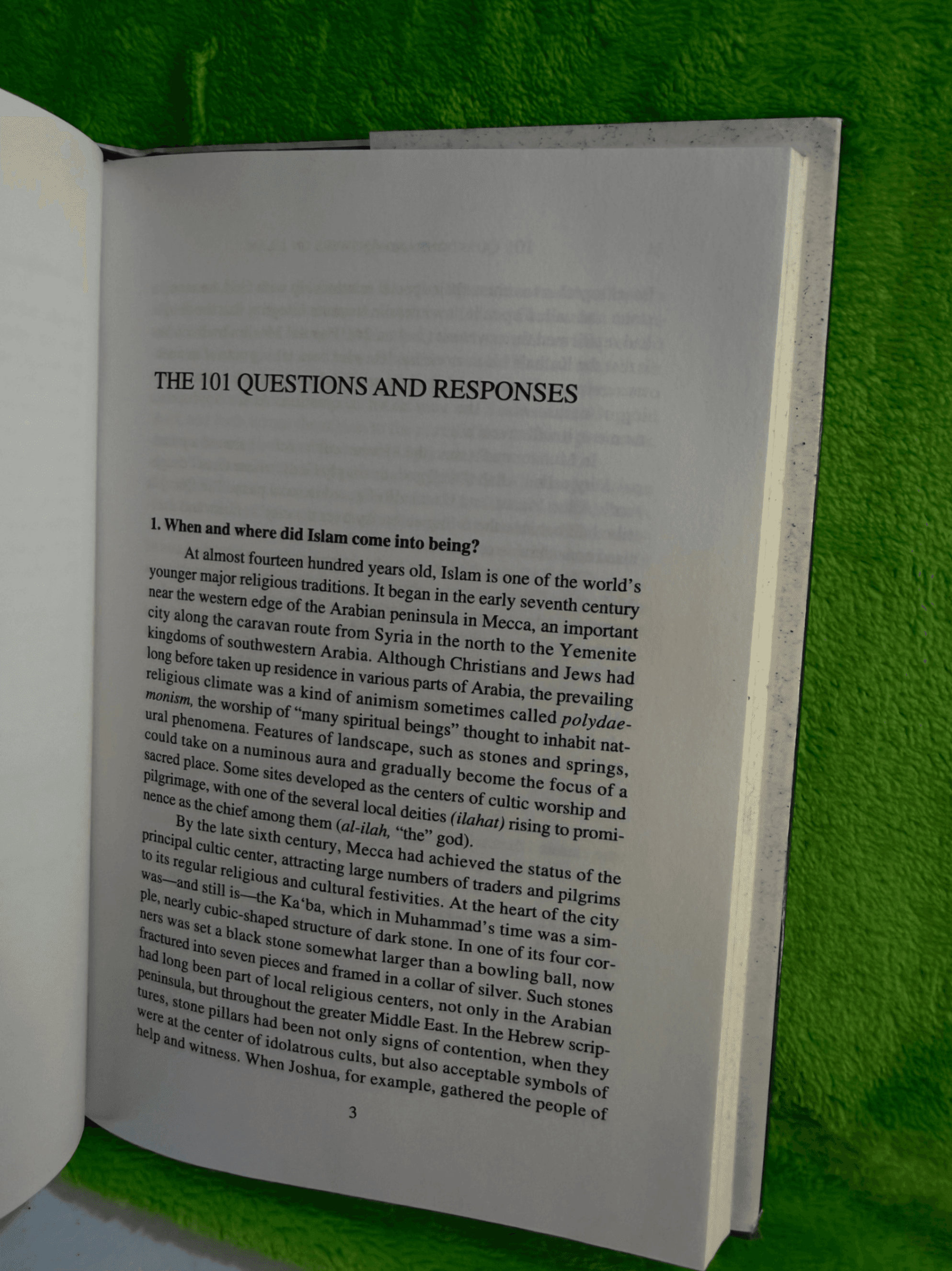 101 Questions and Answers on Islam by John Renard - Thumbnail 5