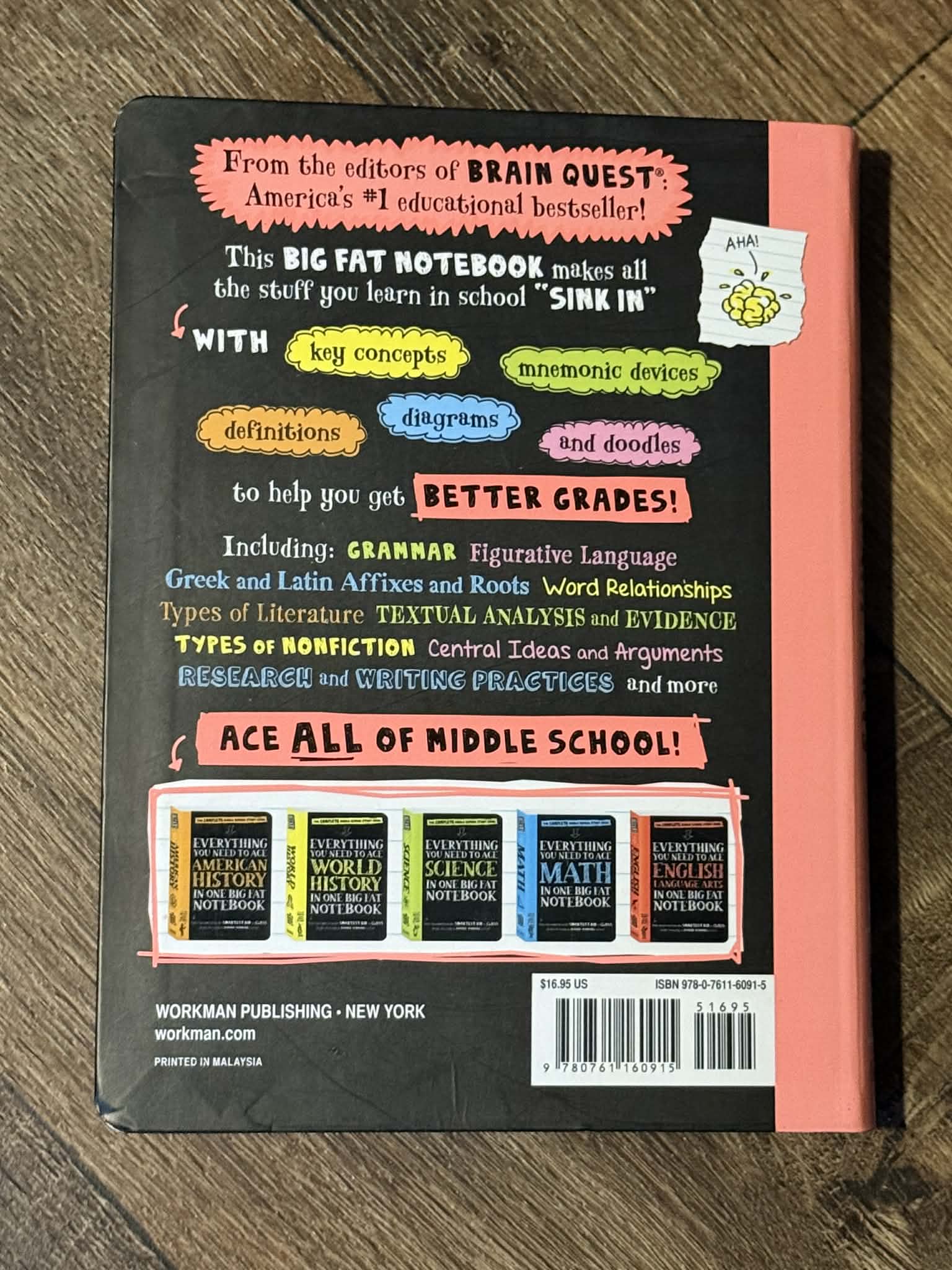 Everything You Need to Ace English Language Arts I - Thumbnail 3