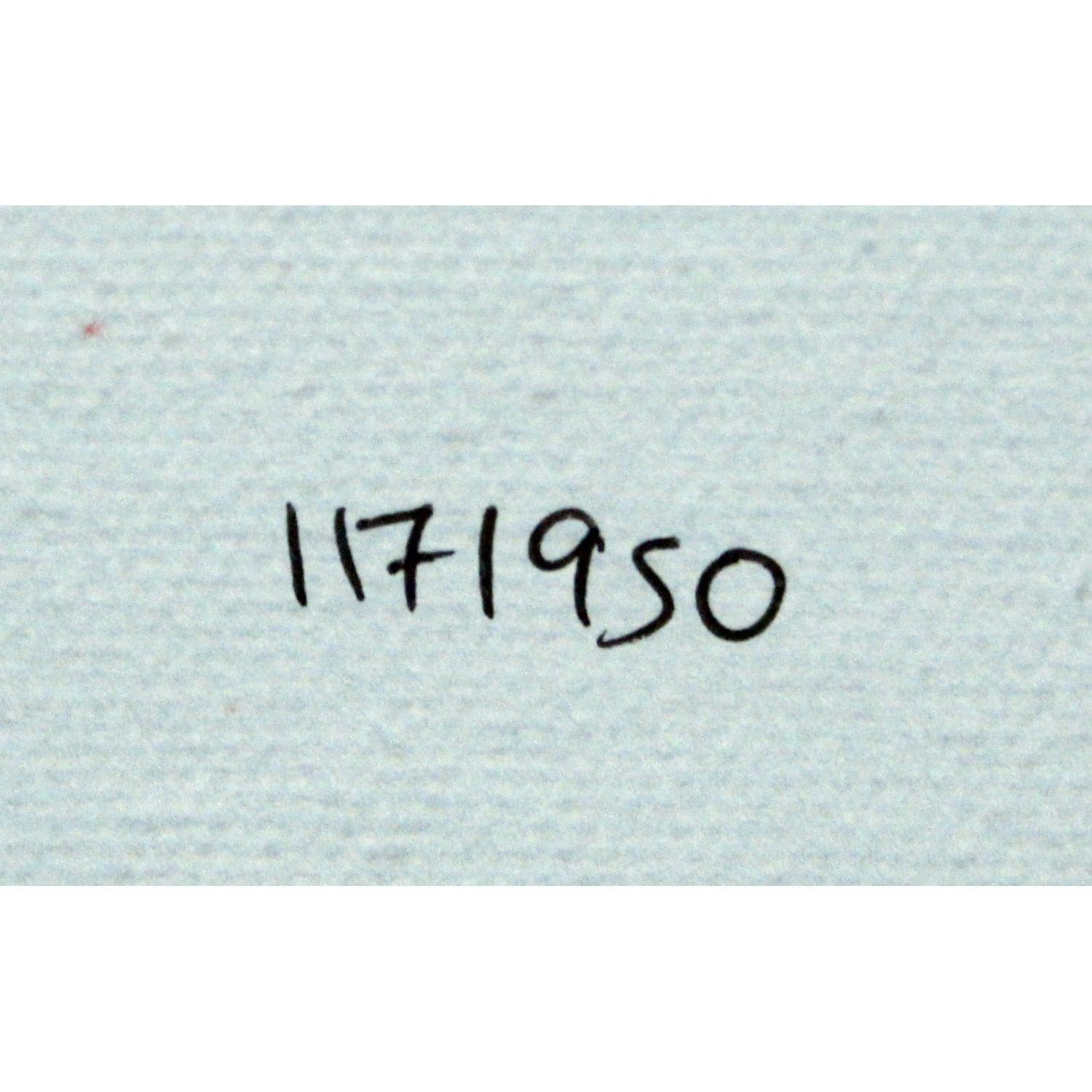 Framed Print by Maureen Brouillette - Thumbnail 4