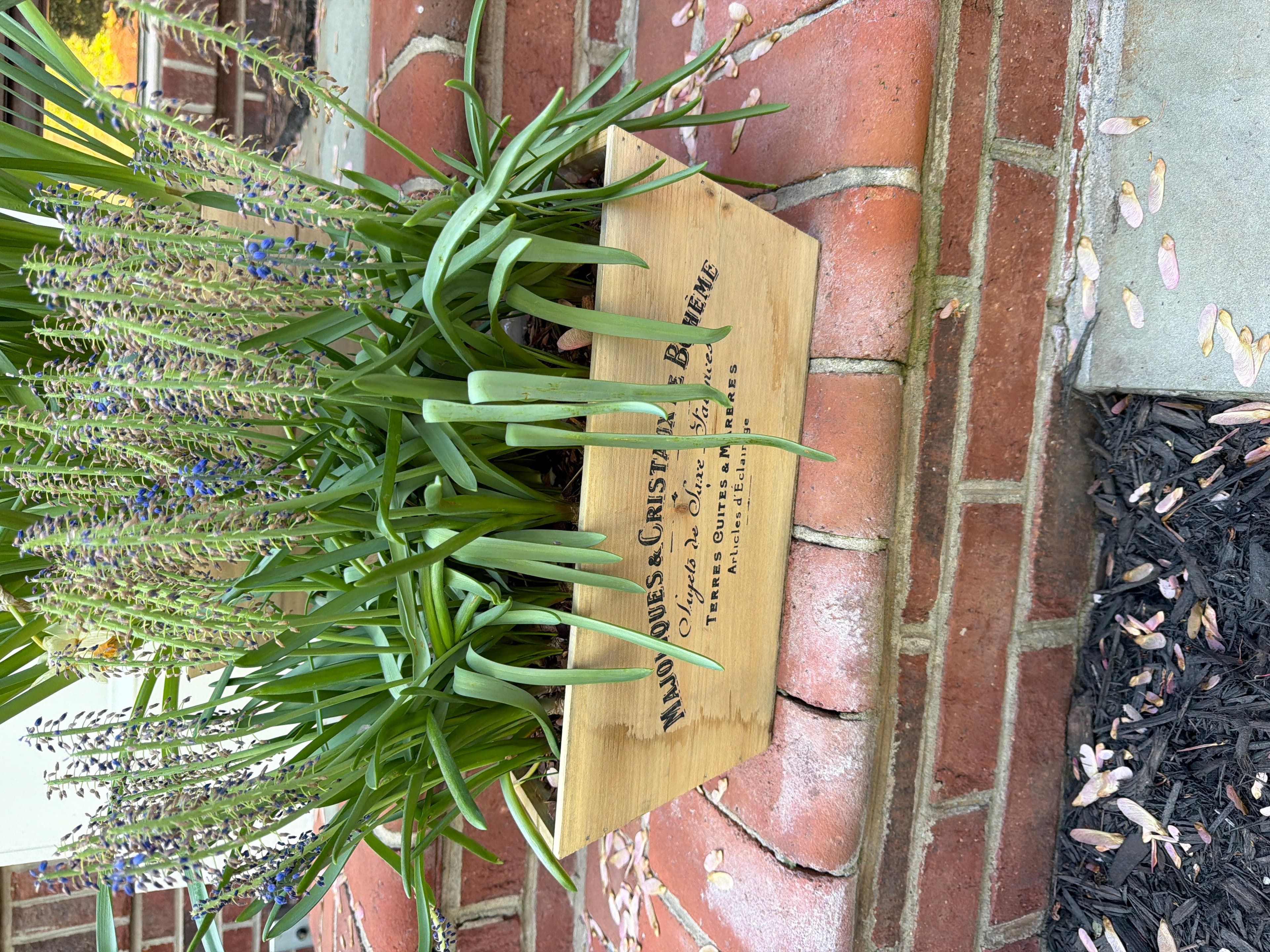 Vintage Wooden Planter Box with 'Made in the USA' Engraving - Image 1
