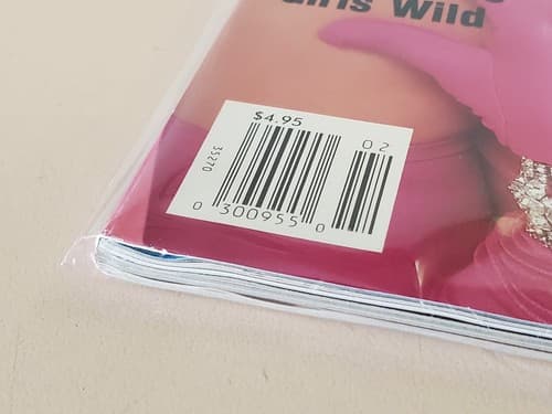 PLAYBOY Magazine 2001 Feb. Anna Nicole Smith. Interview: Vince McMahon. Collect - Thumbnail 5