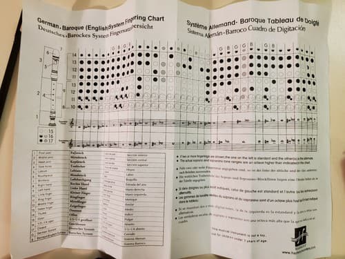 Harmony 2-Piece Traditional Style Soprano Recorder. Baroque Fingering. GREEN - Thumbnail 9