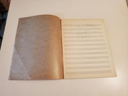 Vtg MUSIC BOOK LOT OF 9. Bundle includes 3 music writing, 5 Spinet Organ + - Thumbnail 4