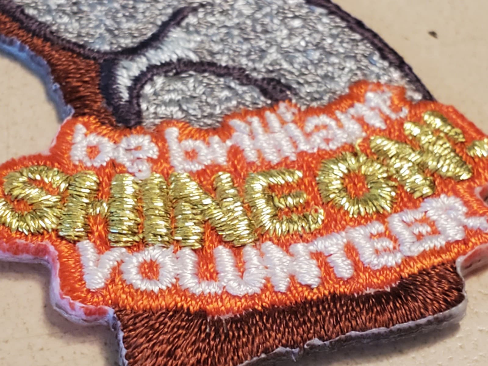 (2) LOT GIRL SCOUTS Patch 'Wands For Wildlife & Shine On Koala' GSA Embroidered - Thumbnail 9