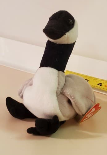 TY Beanie Babies "Loosy". 1998 rare. Black grey and white goose with tag. Honker - Thumbnail 5