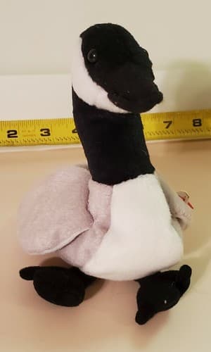 TY Beanie Babies "Loosy". 1998 rare. Black grey and white goose with tag. Honker - Thumbnail 4