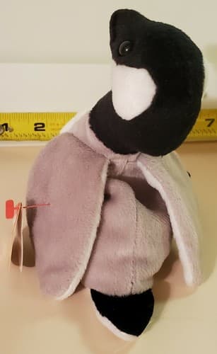 TY Beanie Babies "Loosy". 1998 rare. Black grey and white goose with tag. Honker - Thumbnail 6