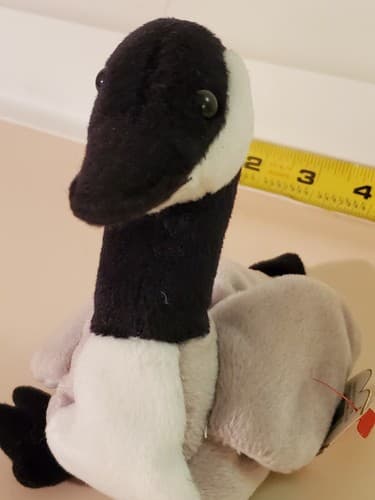 TY Beanie Babies "Loosy". 1998 rare. Black grey and white goose with tag. Honker - Thumbnail 3
