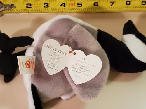 TY Beanie Babies "Loosy". 1998 rare. Black grey and white goose with tag. Honker - Thumbnail 2