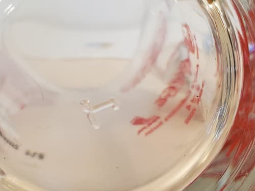 NHL Detroit Red Wings 2002 NEW Pint Glasses Set of 4. Arby's Collectors - Thumbnail 15