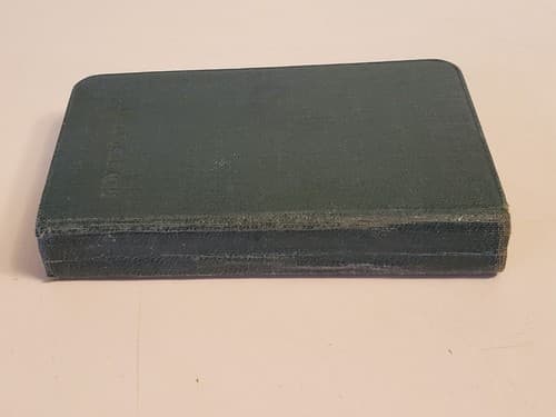 HOLY BIBLE - New Testament - ANTIQUE EARLY 1900s w 16 Color Art PALESTINE SCENES - Thumbnail 6