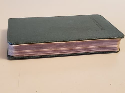 HOLY BIBLE - New Testament - ANTIQUE EARLY 1900s w 16 Color Art PALESTINE SCENES - Thumbnail 7