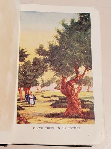HOLY BIBLE - New Testament - ANTIQUE EARLY 1900s w 16 Color Art PALESTINE SCENES - Thumbnail 4