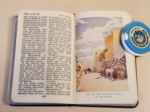 HOLY BIBLE - New Testament - ANTIQUE EARLY 1900s w 16 Color Art PALESTINE SCENES - Thumbnail 8