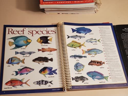 MAPTECH Embassy Guides LOT OF 5 FLORIDA 1West 2East 3Keys 4Bahamas 5Atlantic Coa - Thumbnail 23