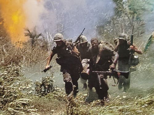 Laserdisc Movie - Platoon - Willem DaFoe - TWO DISCS. Used, excellent condition - Thumbnail 7