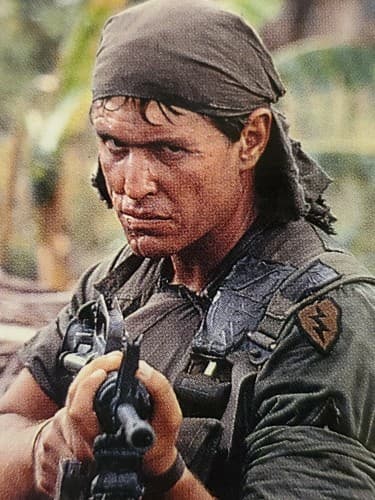 Laserdisc Movie - Platoon - Willem DaFoe - TWO DISCS. Used, excellent condition - Thumbnail 4