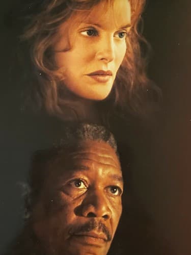 Laserdisc Movie - Outbreak - Dustin Hoffman - TWO DISCS. Used, excellent cond - Thumbnail 5