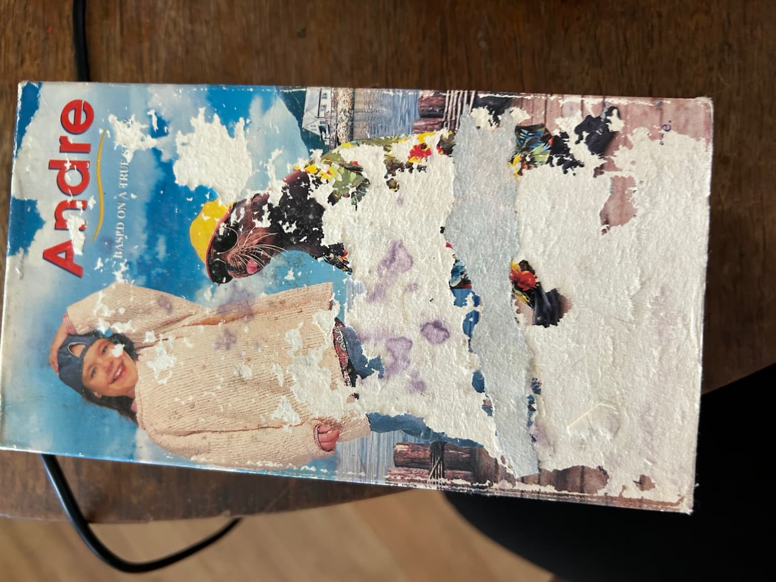 VHS Movie Lot 6 Tapes Family Comedy Classics Karate Kid Ace Ventura Andre - Thumbnail 7