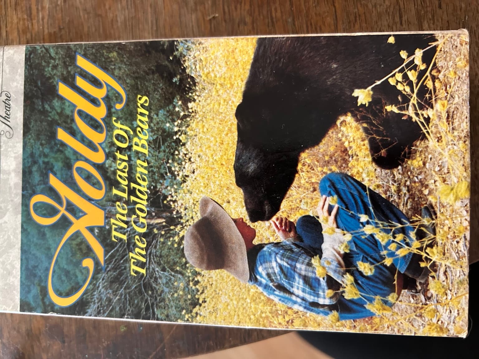 VHS Movie Lot 6 Tapes Family Comedy Classics Karate Kid Ace Ventura Andre - Thumbnail 6