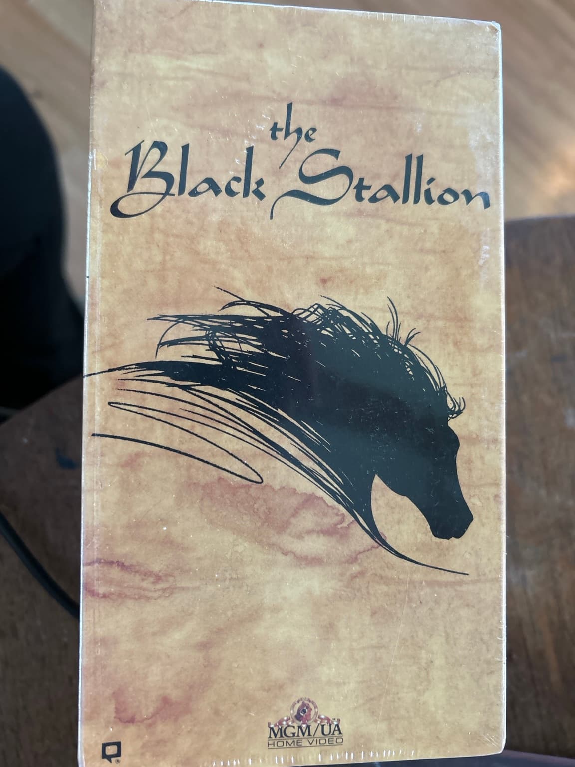 Vintage VHS Movie Lot Titanic Pearl Harbor Wizard of Oz Black Stallion Windrunner - Thumbnail 4