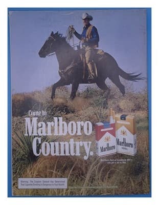 Motor Trend October 1981 CORVETTE HATCH Magazine - Thumbnail 2