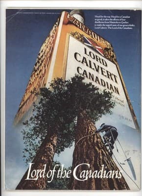 Sports Illustrated September 7, 1981 Jim Plunkett Pro Football Magazine - Thumbnail 2