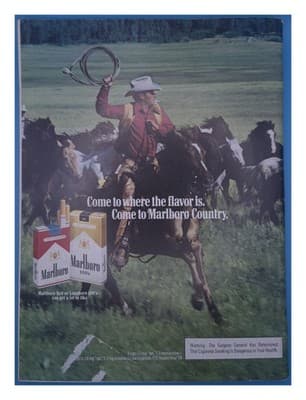 Road & Track April 1980 Chevrolet Turbo Corvette Magazine - Thumbnail 2