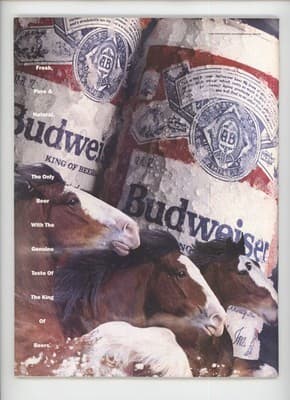 Petersen's 4-Wheel & Off-Road August 1992 V8 Pickup Shootout Magazine - Thumbnail 2