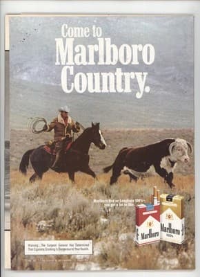 Road & Track January 1982 Trans Am Firebird Car Magazine - Thumbnail 2