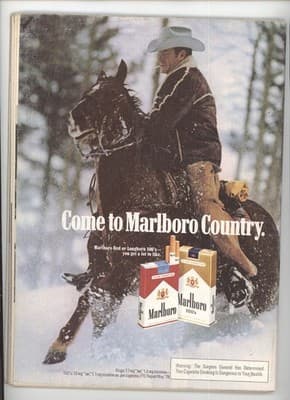 Road & Track January 1979 Turbocharged Ford Mustang Magazine - Thumbnail 2