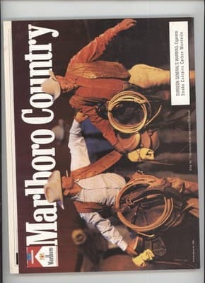 Road & Track November 1995 Viper Attack Dodge Magazine - Thumbnail 2