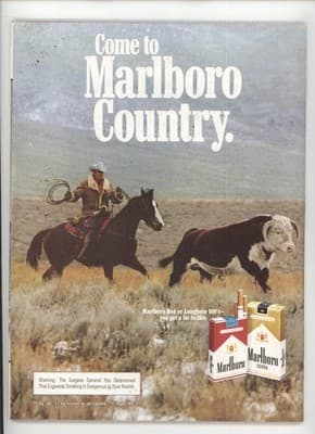 Road & Track January 1982 Pontiac Firebird Trans Am Magazine - Thumbnail 2