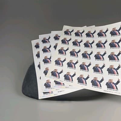 My Tariff Did That Donald Trump Meme Outdoor Waterproof Decal Pack 100 stickers - Thumbnail 3