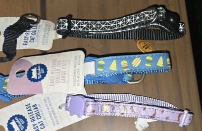 NEW 3 Pc Whisker City Easy Release Cat Pet Collar - Image 1
