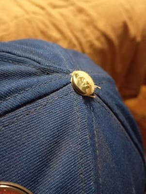 vintage Hershiser Los Angeles Dodgers snapback - Thumbnail 4