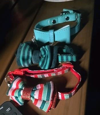 2 Merry & Bright Green Plaid Bow Dog Collar Stripes & Teal - Thumbnail 2