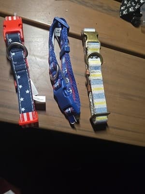 3 Top Paw Nylon Adjustable Dog Collar - Image 1