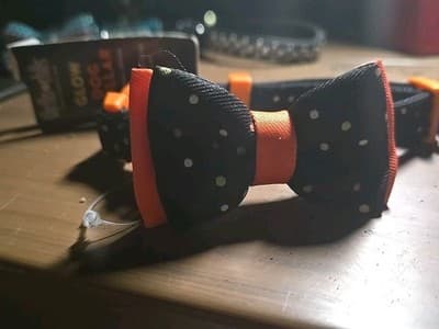THRILLS & CHILLS HALLOWEEN GLOW IN THE DARK ORANGE & BLACK DOTS DOG COLLAR-s - Image 1