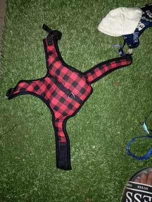 Dog Harness - Image 1