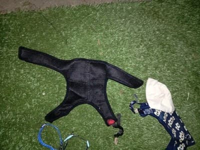 Dog Harness - Thumbnail 2