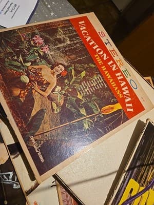 Vacation In Hawaii The Hawaiians Vinyl - Image 1